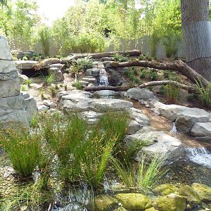 Bamboo Forest Reserve (New In 2013)