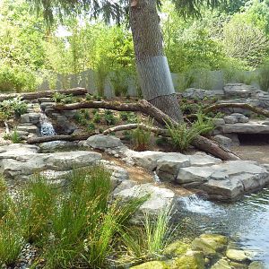 Bamboo Forest Reserve (New In 2013)