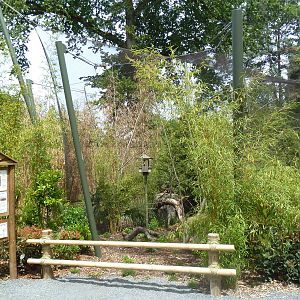 Bamboo Forest Reserve (New In 2013)