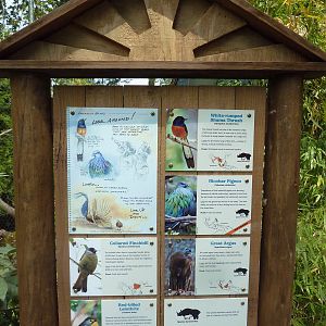 Bamboo Forest Reserve (New In 2013)