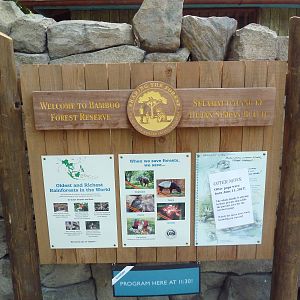 Bamboo Forest Reserve (New In 2013)