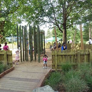 Bamboo Forest Reserve (New In 2013)