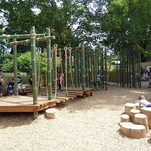 Bamboo Forest Reserve (New In 2013)