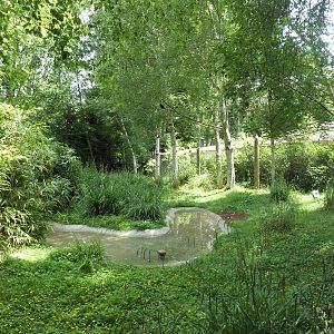 Temperate Forest: Hooded Crane Exhibit