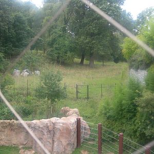 empty area in asian trail