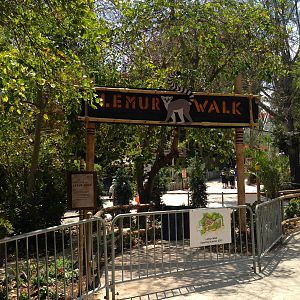 Lemur Walk
