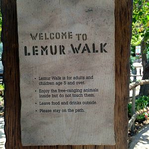 Lemur Walk
