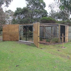 New Quoll exhibit at Moonlit Sanctuary