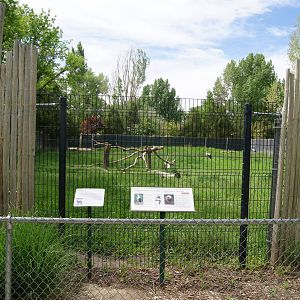 Pueblo Zoo 2013