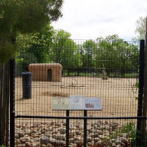 Pueblo Zoo 2013