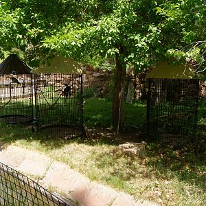 Pueblo Zoo 2013