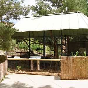Pueblo Zoo 2013