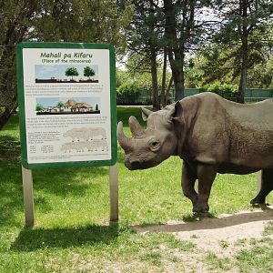 Pueblo Zoo 2013