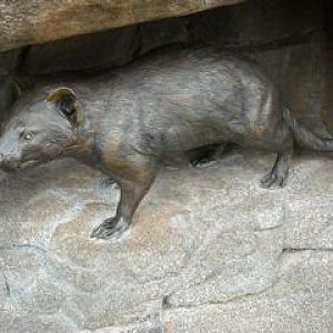 Tasmanian devil sculpture
