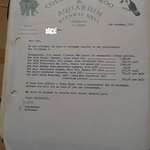 A blast from the past