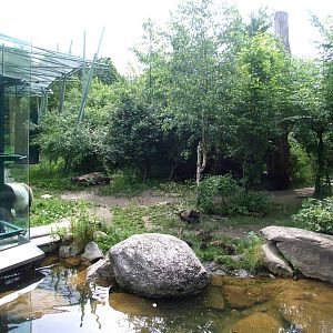 Giant Panda Exhibit at Vienna, 14/06/13