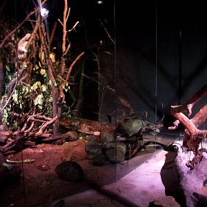 Rat House Interior at Vienna, 14/06/13