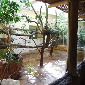 Koala House Interior at Vienna, 14/06/13