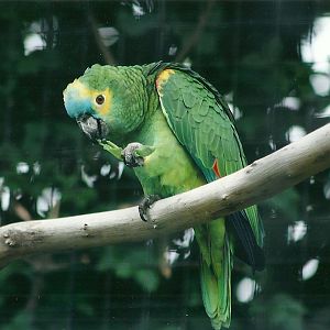 50th Anniversary 18th May 2013