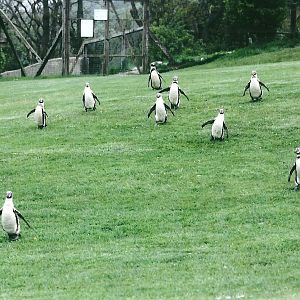 50th Anniversary 18th May 2013