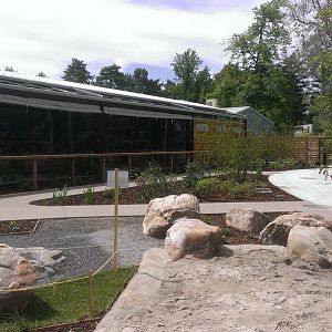 New Bird Show Holding