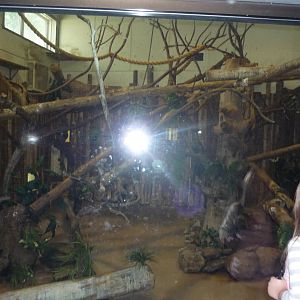 Black and White Lemur Exhibit