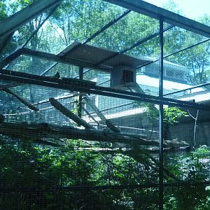 Macaw/Agouti Exhibit