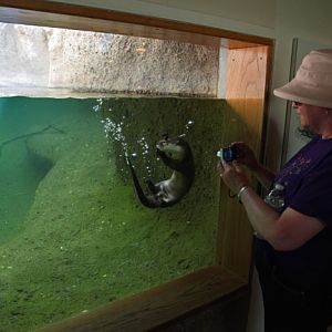 visitor with river otter
