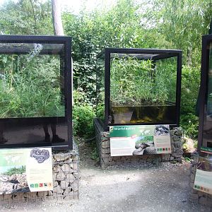 Native Species Vivaria at Vienna, 14/06/13