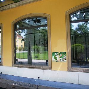 Parrot Viewing at Vienna, 14/06/13