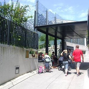 Lower Orang Viewing at Vienna, 14/06/13