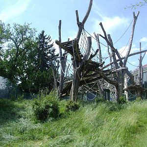 Lower Orang Viewing at Vienna, 14/06/13