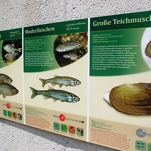 Signage Example at Vienna, 14/06/13