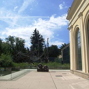 Upper Orang Viewing at Vienna, 14/06/13