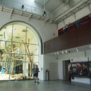 ORANG.erie Interior at Vienna, 14/06/13