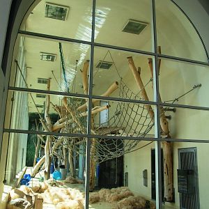 ORANG.erie Interior at Vienna, 14/06/13