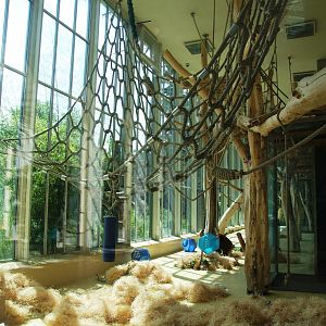 ORANG.erie Interior at Vienna, 14/06/13