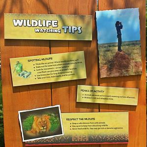 Jun. 2013 - Africa - Wildlife Watching Tips