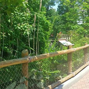 Jun. 2013 - Swan Lake - Red-crowned Crane Exhibit Viewing