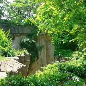 Jun. 2013 - Gorilla World - Gorilla Encounter