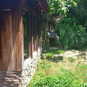 Jun. 2013 - Wolf Woods - Mexican Wolf Cabin Viewing