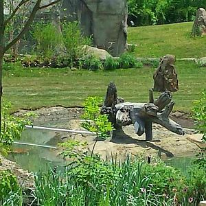 Jun. 2013 - Africa - Vulture Island