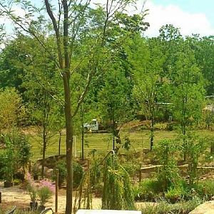 Jun. 2013 - Africa - Africa Plains + Vulture Island + Lion Exhibits