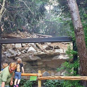 Jun. 2013 - Lords of the Arctic - Arctic Fox Exhibit