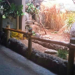 Jun. 2013 - Wings of the World - Grasslands Viewing