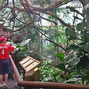 Jun. 2013 - Wings of the World - South America