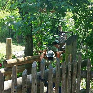 Jun. 2013 - Rhino Reserve - Okapi Exhibit Construction