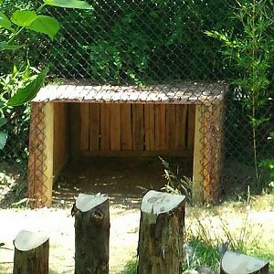 Jun. 2013 - Rhino Reserve - Okapi Exhibit - New Hut