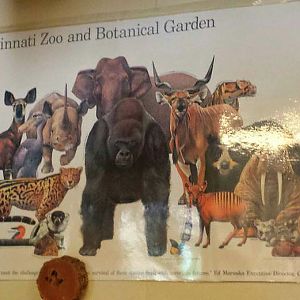 Jun. 2013 - Old Cincinnati Zoo Poster