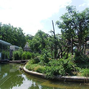 Lemur Enclosure at Vienna, 14/06/13